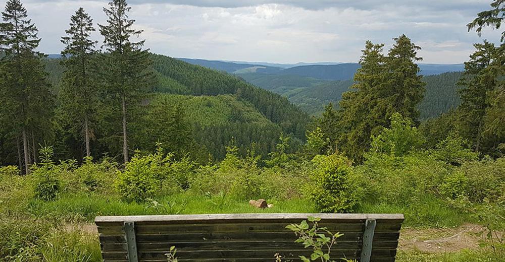 Ferienhaus Astenblick - Ideal Fuer Weihnachtsfeiern Und Familienfeiern Bietet Schlafplaetze Fuer Bis Zu 35 Personen Winterberg Exterior foto